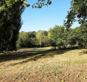 Forêt de Châtellerault du Sorel - Châtellerault - 2