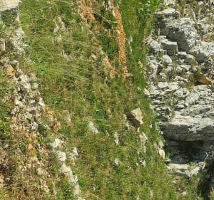 Gresse-en-Vercors en de klim naar de Grand Veymont - Barbara - 4