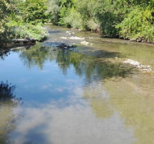 Petite promenade le long du Cernon - Saint-Georges-de-Luzençon - 2