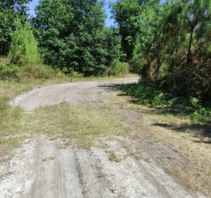 Balade entre le désert et la Forêt - Rion-des-Landes - 2