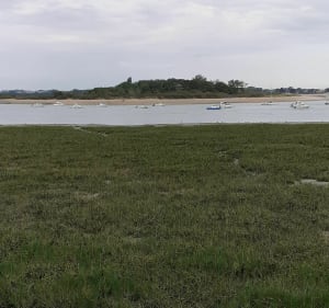 Balade entre Batterie de Merville et réserve naturelle de Franceville - Merville-Franceville-Plage - 2