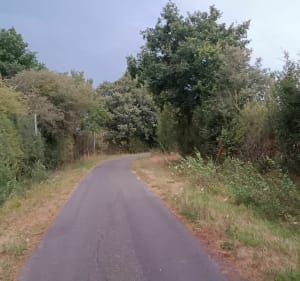 Marche matinale dans la campagne de Baracé - Huillé-Lézigné - 2