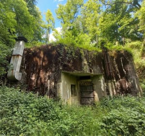 Sentier du fort de Schœnenbourg - Ingolsheim - 2