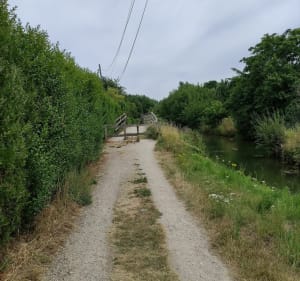 Sentier le Lansbergue - Eric - 3