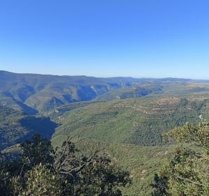 Entre Cévennes et Causses au Pic d'Anjeau - Montdardier - 2