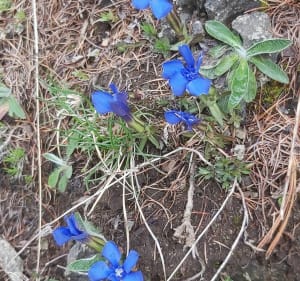 Randonnée au Col du Viallet - Jean - 3