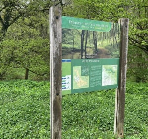 Rando le long de Moulaine et ses 3 sources - GILLIAN - 3