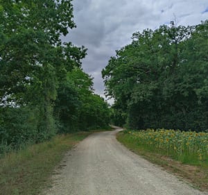 Circuit des terres blanches à Bricon - Bricon - 2
