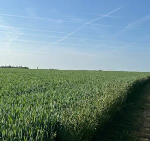Een korte wandeling in de Périseaux - Vendeville - 2