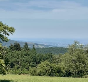 Fraîche balade dans le haut beaujolais. - Agnes - 3