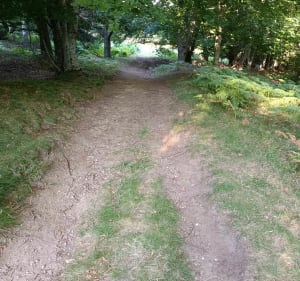 Balade au Puy de Dôme hors des chemins battus - Gwenaelle - 3