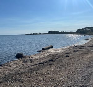 Etang de Salses: Du village de pêcheurs à Garrieux et terroir. - Salses-le-Château - 2