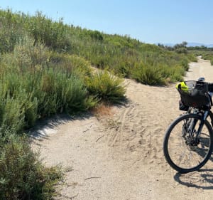 Plage et dune sauvage de St Marie - Canet-en-Roussillon - 5