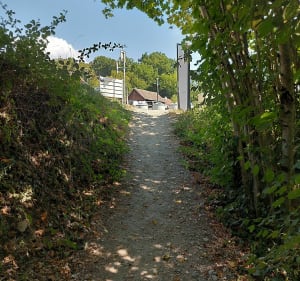 Les bois de Chavanod,  entre rivière et château - PHILIPPE - 5