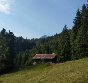 Boucle dans les alpages autour de l'auberge de Colombaz - Les Contamines-Montjoie - 2