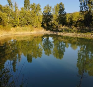 Balade matinale au lac du Castellet - Le Castellet - 2