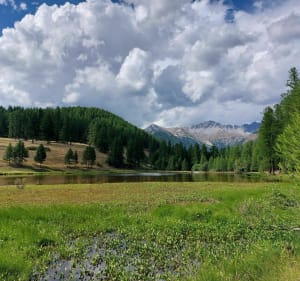 Lac de la roue- parc naturel du queyras - Château-Ville-Vieille - 2