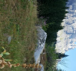 Refuge du Chatelet d'Ayeres - Passy - 2