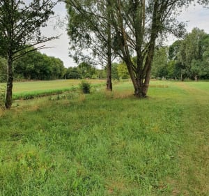 Thésée bord du cher - Thésée - 2