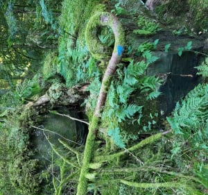 Le coquin site historique à découvrir pour une vue à 360 - Celles sur Plaine - 2