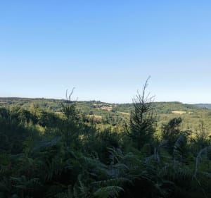Het panorama van de bergen van Ambazac vanuit Sauvagnac - Saint-Léger-la-Montagne - 2