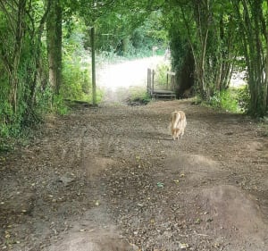 Trop agréable à Saint Ouen des Besaces - Souleuvre en Bocage - 2