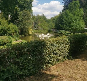 Parcours dans Lille - Francois - 4