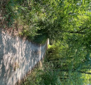 Les rives de l’Isère et ses Noyers - Saint-Hilaire-du-Rosier - 2