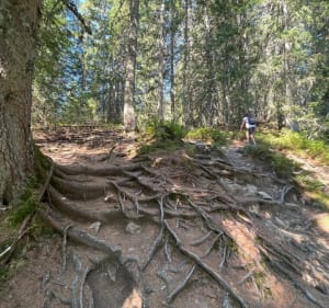 Wandeling op het Beauregard-plateau - Manigod - 2