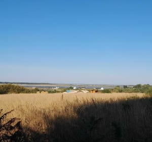 Entre terre et mer à Carnac - Carnac - 2