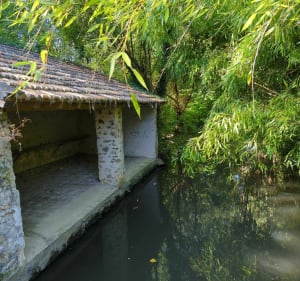 Tour Rochefort en Yvelines-le petit-plessis - Sylvie - 4