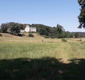 Saint Sulpice la Mayenne - Martin - 5
