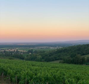 Promenade sur la Chaume et retour par Russilly - Givry - 2