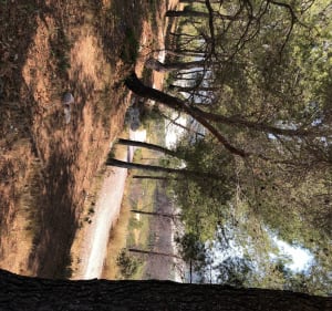 Istres, Ranquet, Castillon, - Istres - 2
