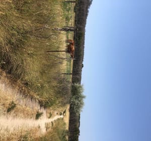 Istres, Ranquet, Castillon, - Leymarie - 3