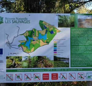 Les Sauvages et St Psaumet - Saint-Sylvestre - 2