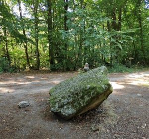 Les Sauvages et St Psaumet - Isabelle - 3