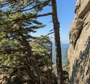 La croix de Leccia à Bavella - Bavella - 2