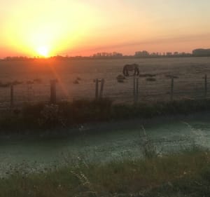 Balade Autour du communal - Les Velluire-sur-Vendée - 2