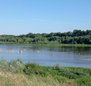 Bord de Loire Sully-sur-Loire à Briare - Marianne - 2