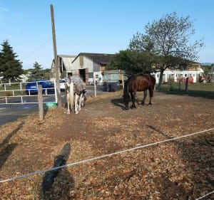 Parcours footing à Pfastatt - Pfastatt - 2
