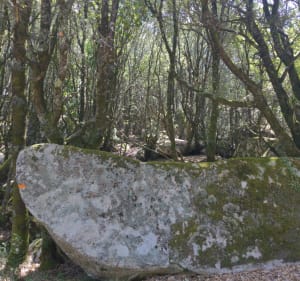 Petite marche sur le chemin de Sapara - San-Gavino-Di-Carbini - 4