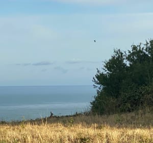 Plutôt balade que randonnée sur Sainte Adresse - Sainte-Adresse - 2