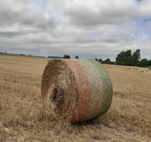 A travers les champs Burbure Allouagne Auchel - Cyrianne - 3
