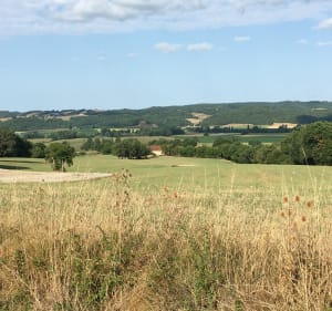 Balade à pied ou en VTT dans la forêt d’HAGET - Haget - 2