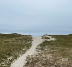 Les dunes de la Torche à Plomeur - Plomeur - 3