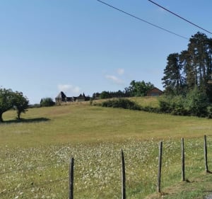 Les hauts de Nauves - Anthony - 2