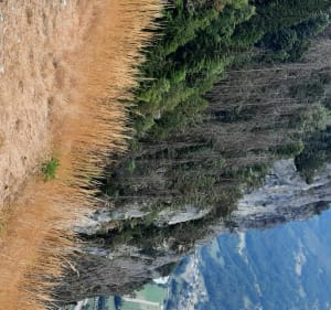 Des Carroz par Pierre à Laya - Arâches-la-Frasse - 2
