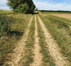 VTT de 33kms chemin blanc terre et sentier dans les bois. - Dijon - 2