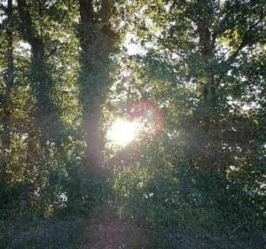 Balade dans les Bois de la Naisse - Mâcon - 2